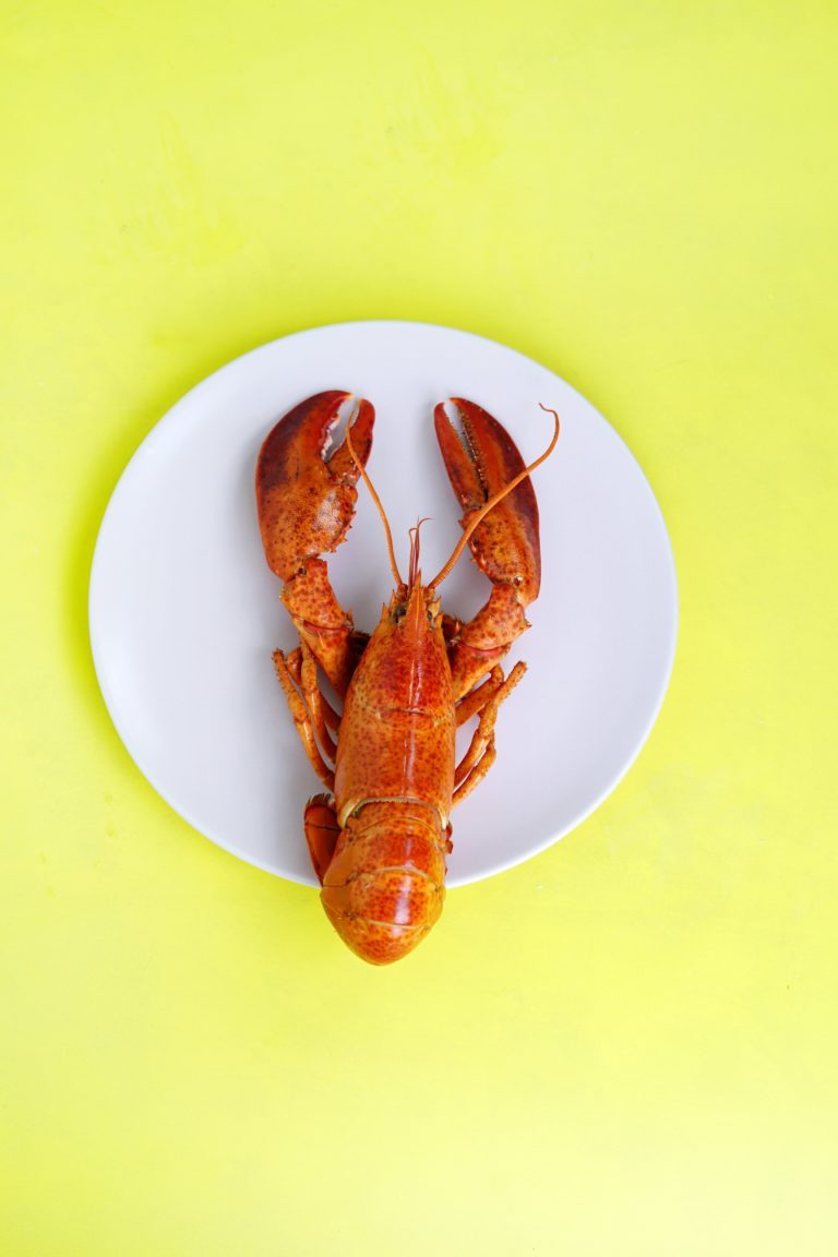 a plate with food on it